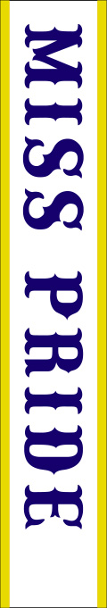MISS PRIDE たすき 原稿イメージ