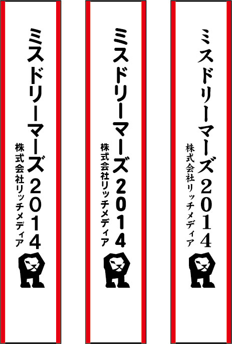 ミスドリーマーズ2014 たすき 原稿